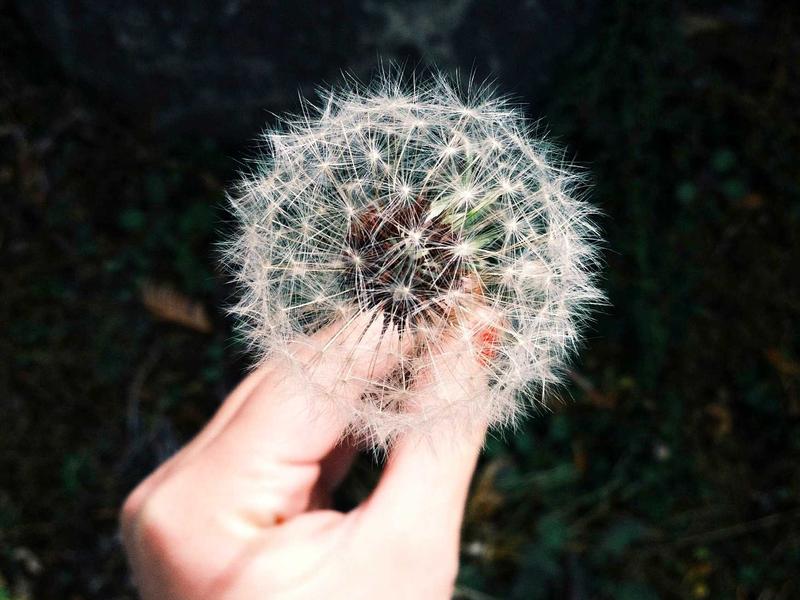 송악대학교 교육